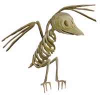 animation-skeletonbird